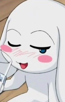 Shirokenhaimu