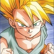 Trunks