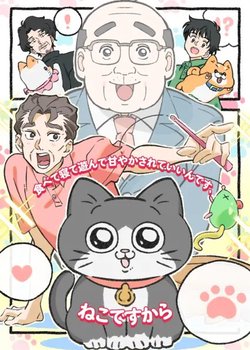 Neko ni Tensei Shita Ojisan