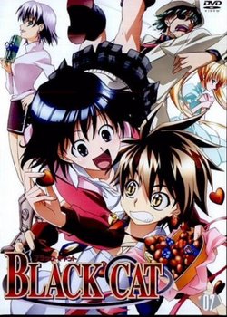 Black Cat Special