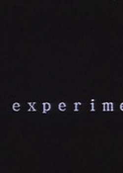 Experiment