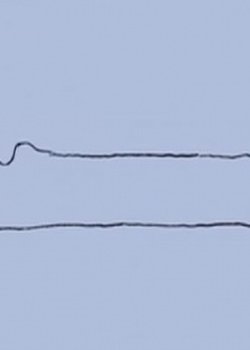 Nani ga Dekiru ka na