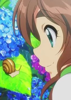 Kyoto Animation: Ajisai-hen