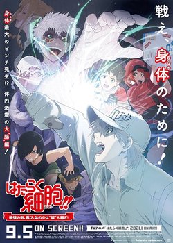 Hataraku Saibou!!: Saikyou no Teki, Futatabi. Karada no Naka wa "Chou" Oosawagi!