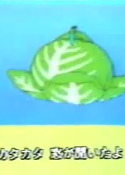 Cabbage UFO