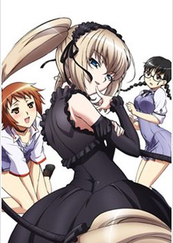 Seikon no Qwaser: Jotei no Shouzou