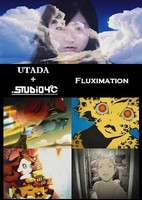 Fluximation