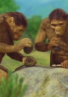 Hito no Kita Tooku Nagai Michi