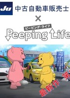 JU Chuuko Jidousha Hanbaishi x Peeping Life