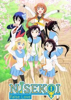 Nisekoi: Four Seasons