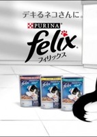 Purina Felix