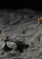 Konohana no Sakuya Mori