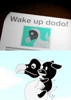Wake Up! Dodo
