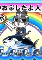 Katsuobushi Dayo Jinsei wa