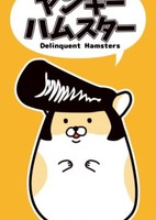 Yankee Hamster