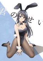 Seishun Buta Yarou wa Bunny Girl Senpai no Yume wo Minai - Picture Drama