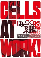 Hataraku Saibou Specials