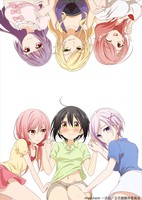 Tachibanakan Triangle