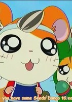 Tottoko Hamtarou Hai!