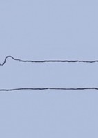 Nani ga Dekiru ka na