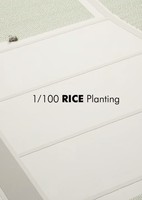 1/100 Rice Planting