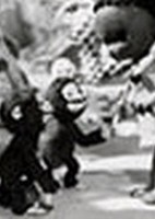 Chibikuro Sambo no Tora Taiji