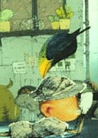 Enkinhou no Hako: Hakase no Sagashimono