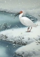 Toki: Kono Hoshi no Mirai wo Mitsumete