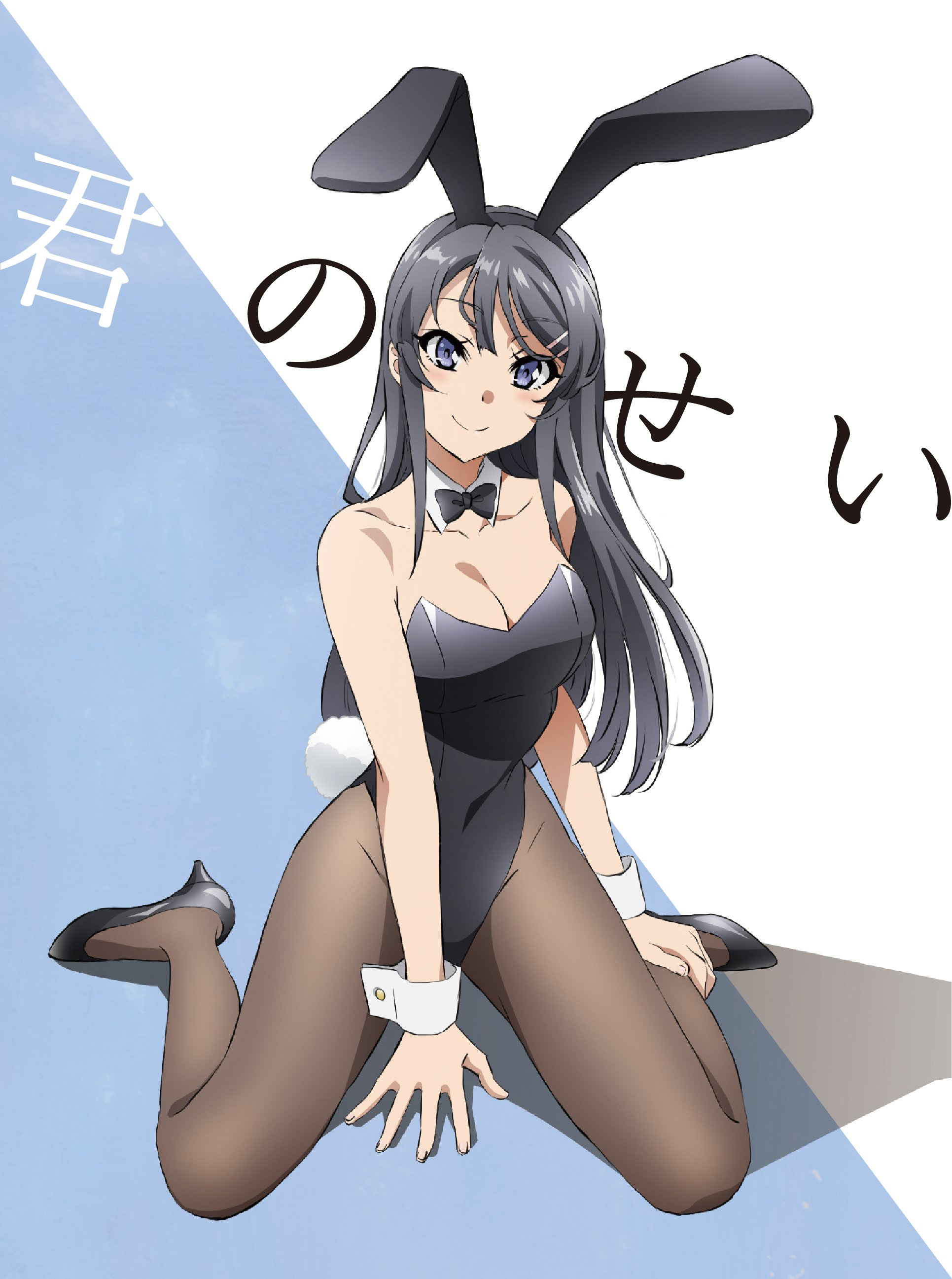 Seishun Buta Yarou wa Bunny Girl Senpai no Yume wo Minai BD/DVD