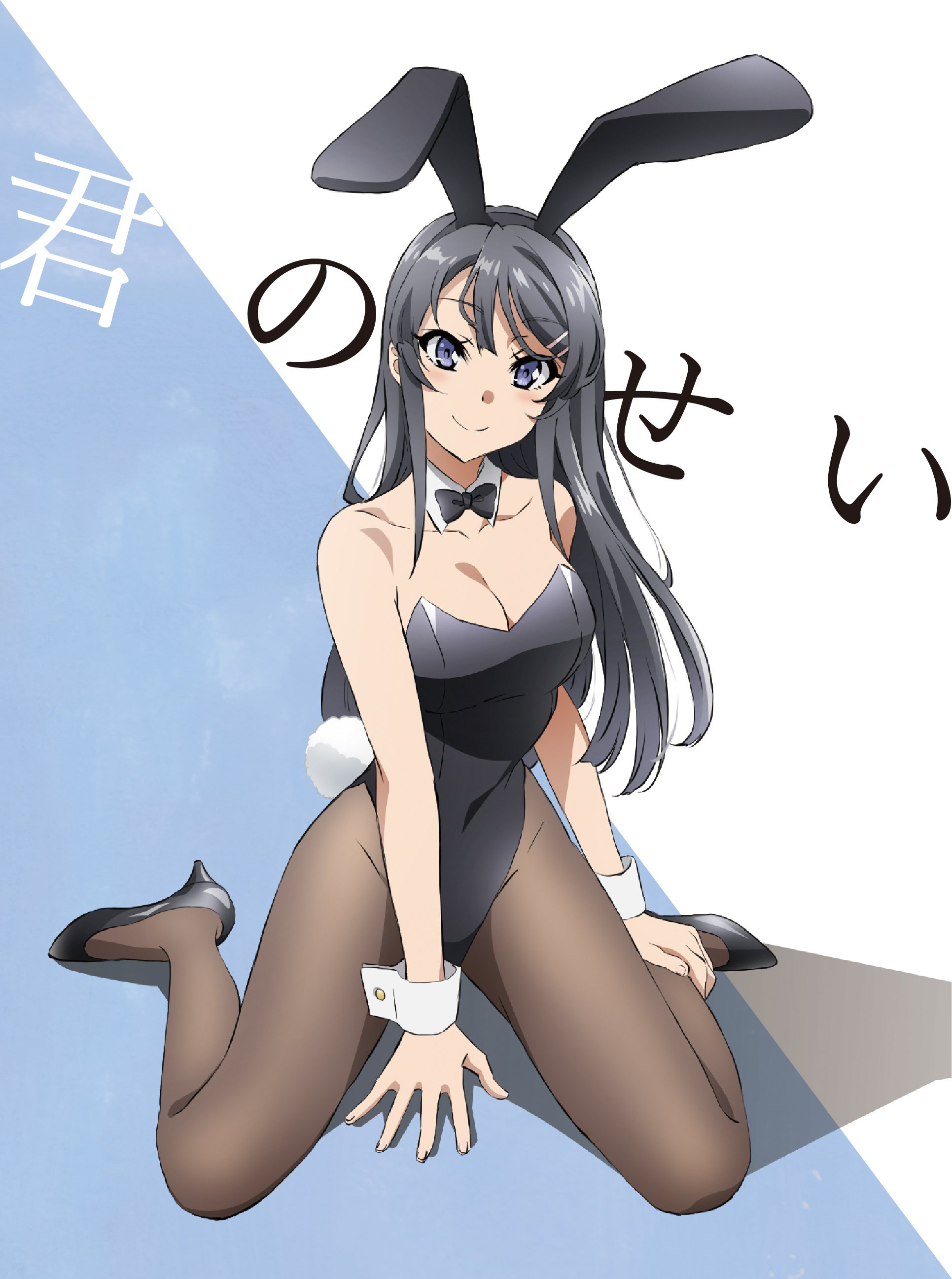 Seishun Buta Yarou wa Bunny Girl Senpai no Yume wo Minai - Picture Drama