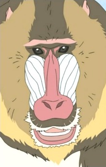 Mandrill