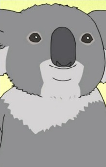 Koala