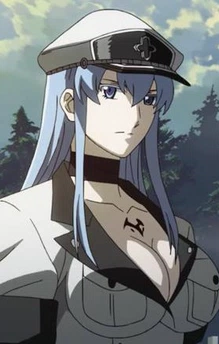 Akame Ga Kill character popularity poll - Forums 