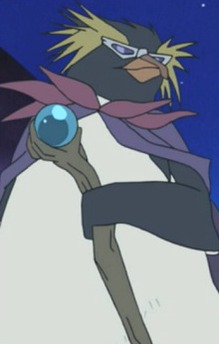 Rockhopper Penguin