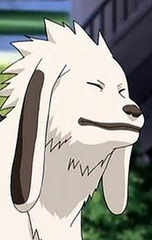 Akamaru