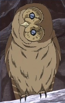 Owl