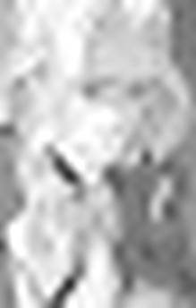 Wolfgang Amadeus Mozart