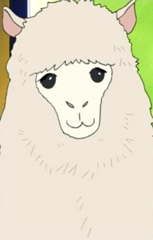 Alpaca