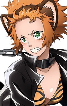 Tora