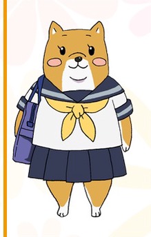 Shibainuko-san