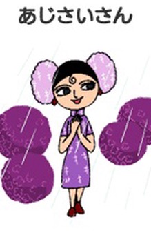 Ajisai-san