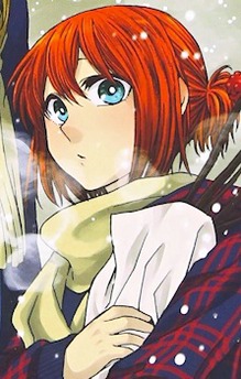 Mahoutsukai no Yome: Hoshi Matsu Hito 