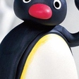 Pingu