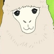 Alpaca