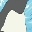Adelie Penguin