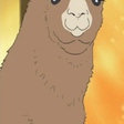 Llama