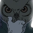 Owl Man