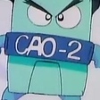 CAO-2